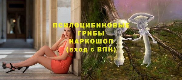 крисы Абдулино