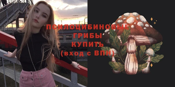 хмурый Абинск