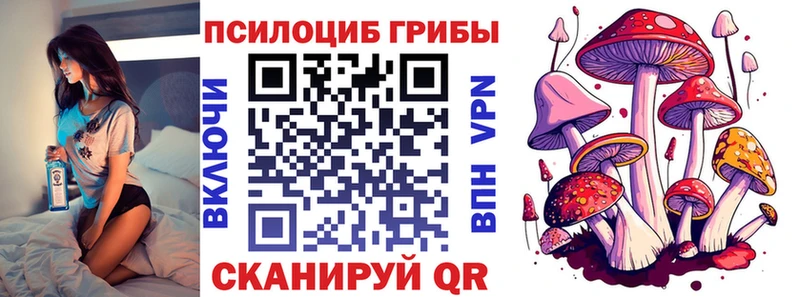 Псилоцибиновые грибы Psilocybe Никольское